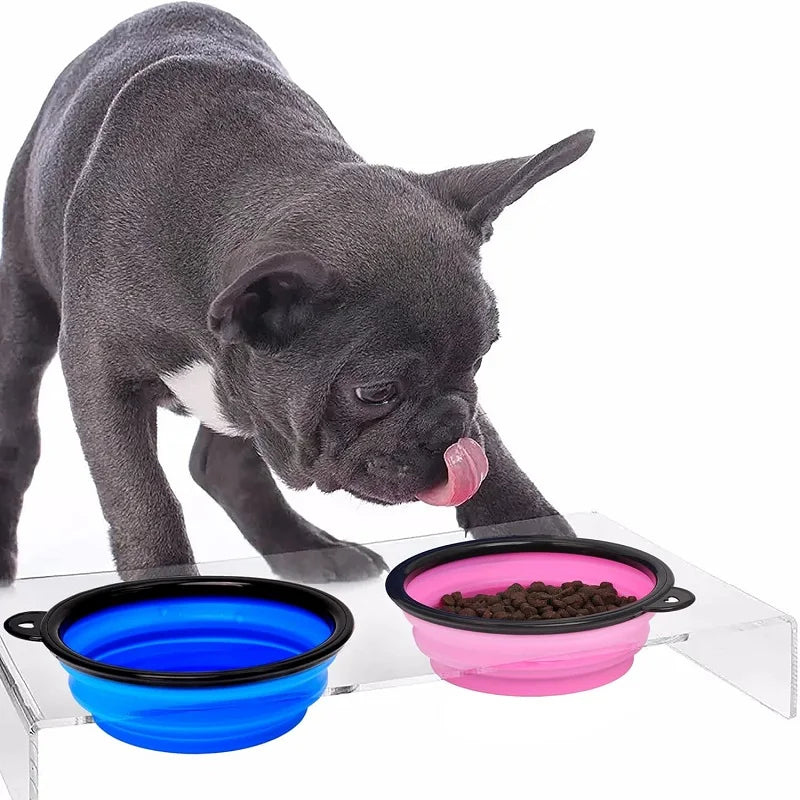 Dog Feeder Bowl 2 In 1 Pet Dispenser Outdoor Travel