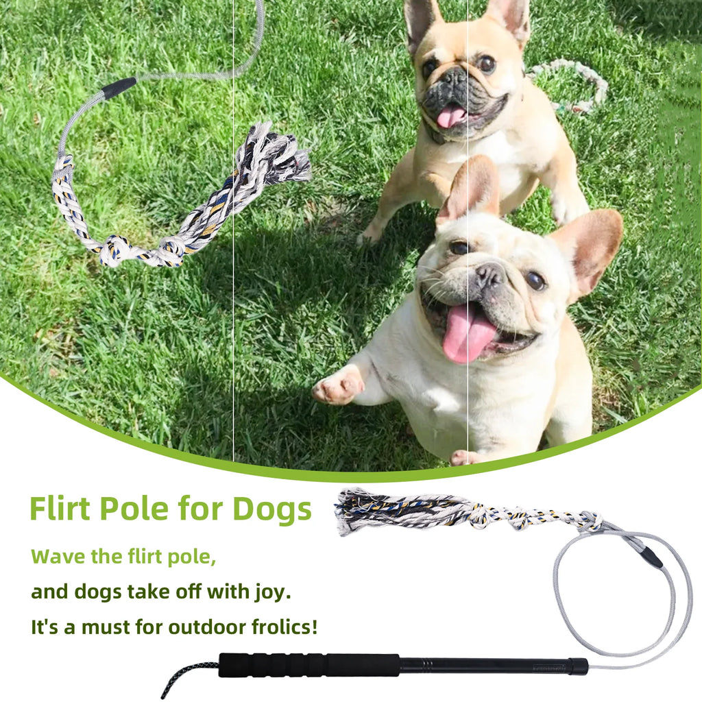 Flirt Pole for Dogs