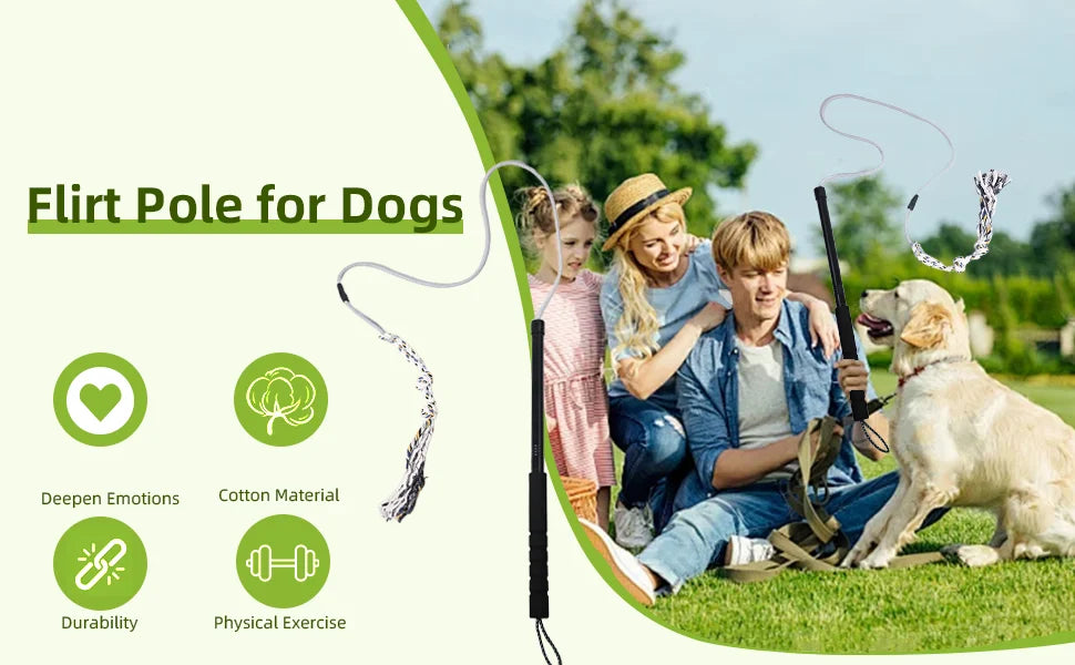 Flirt Pole for Dogs