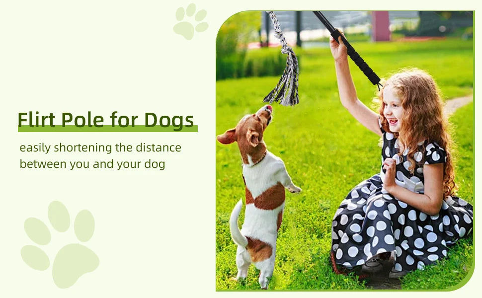 Flirt Pole for Dogs