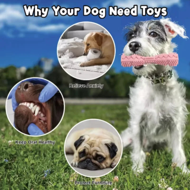 Dog Teething Toy