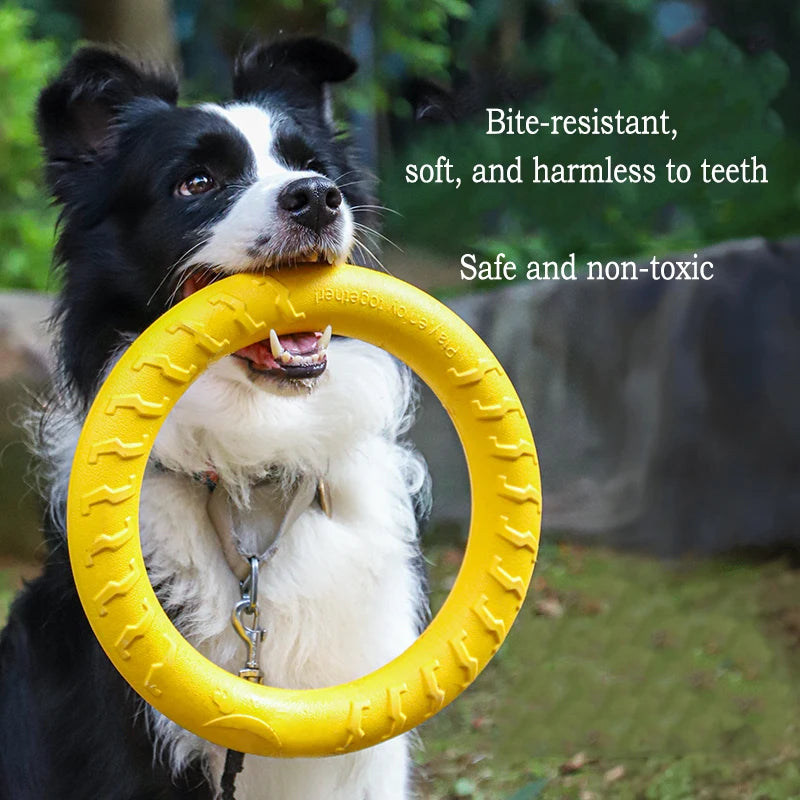 Durable Dog Toys
