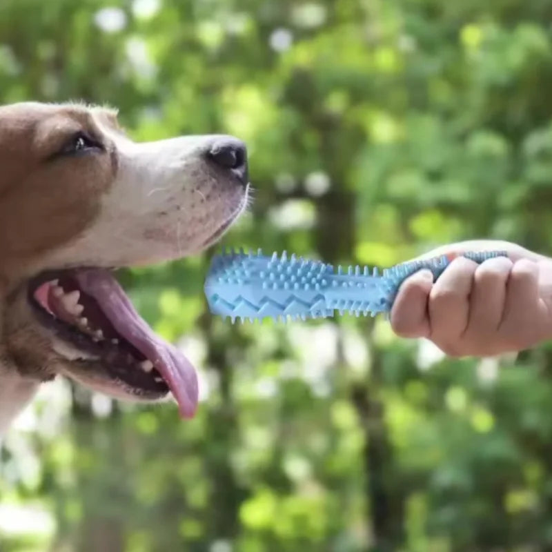 Dog Teething Toy