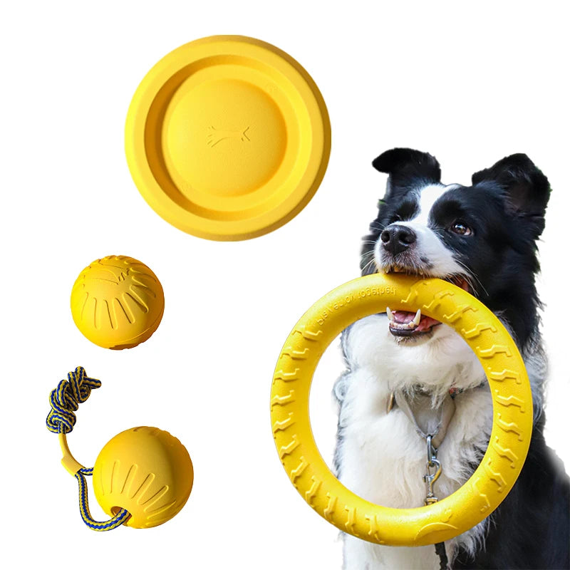 Durable Dog Toys